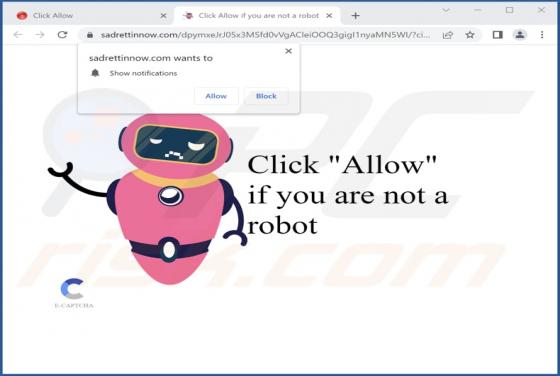 Sadrettinnow.com Ads