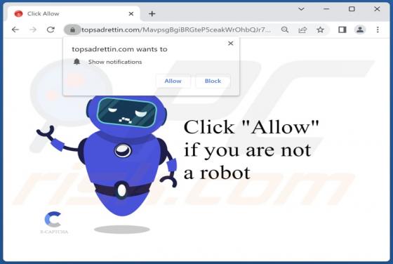 Topsadrettin.com Ads