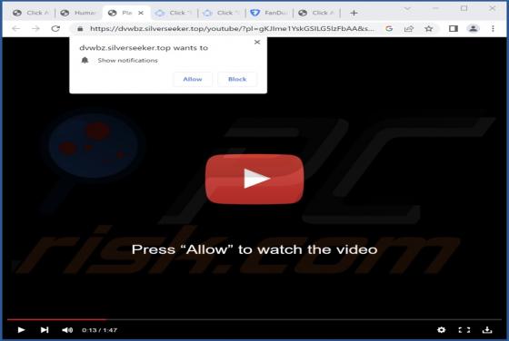 Silverseeker.top Ads