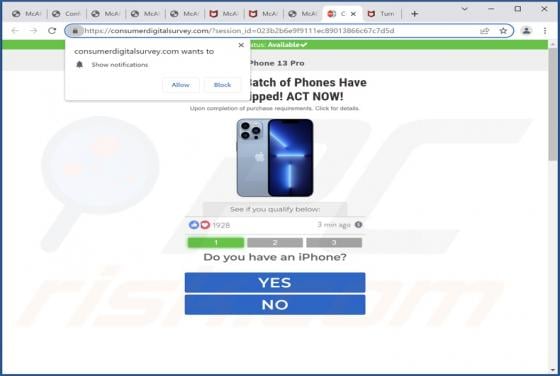 Consumerdigitalsurvey.com Ads