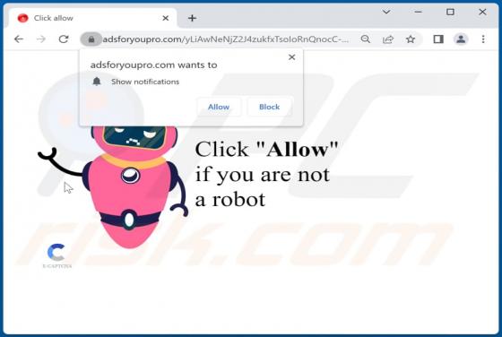 Adsforyoupro.com Ads
