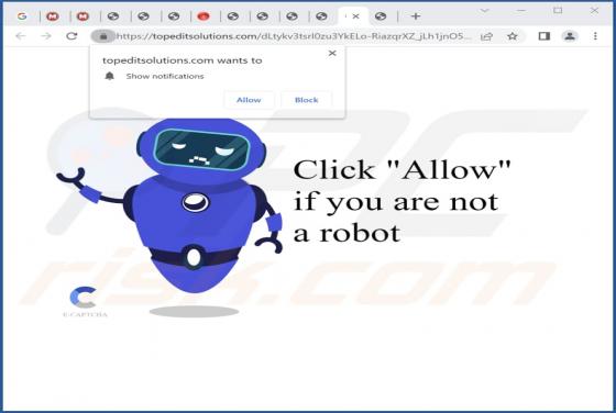 Topeditsolutions.com Ads