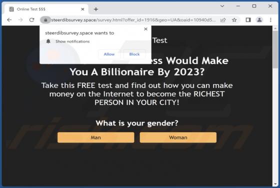 Steerdibsurvey.space Ads