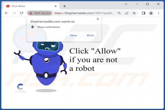 Thepharmadds.com Ads