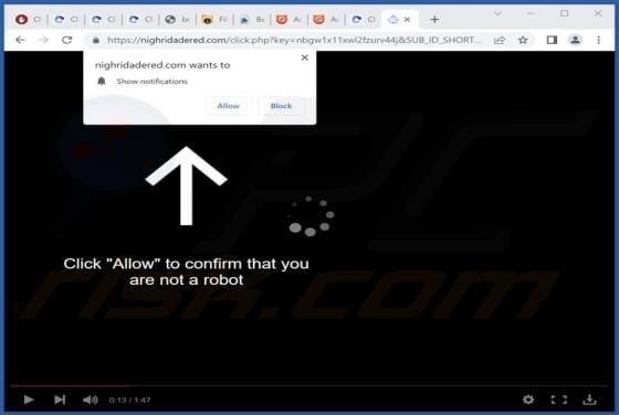 Nighridadered.com Ads