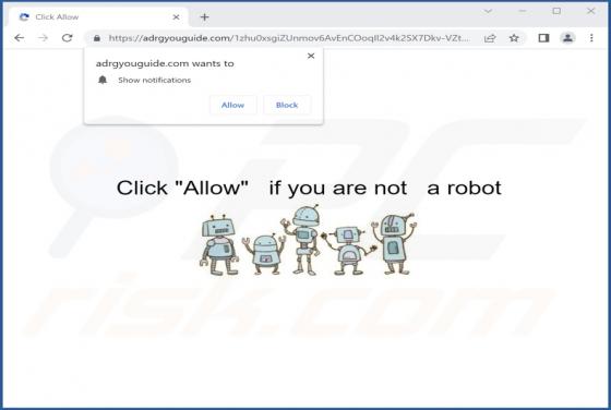 Adrgyouguide.com Ads
