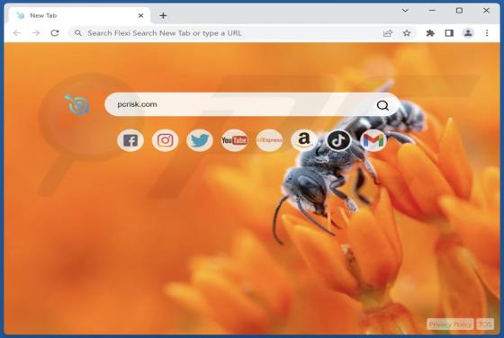 Flexi Search New Tab Browser Hijacker