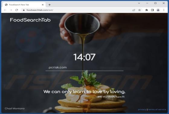 FoodSearchTab Browser Hijacker