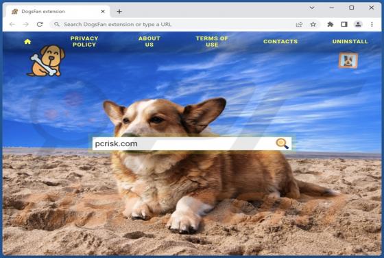 DogsFan Extension Browser Hijacker