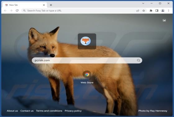 Foxy Tab Browser Hijacker