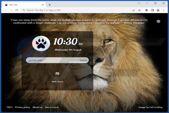 The Big 5 Browser Hijacker