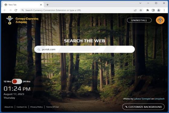 Currency Conversion Extension Browser Hijacker