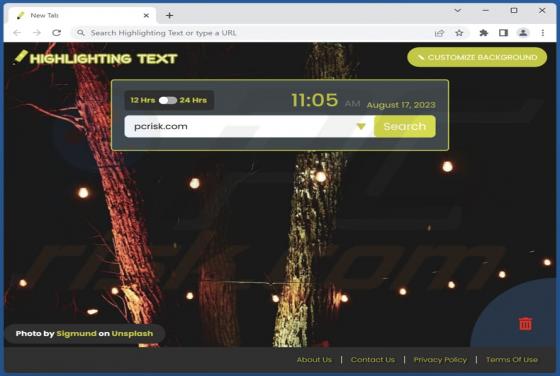 Highlighting Text Browser Hijacker