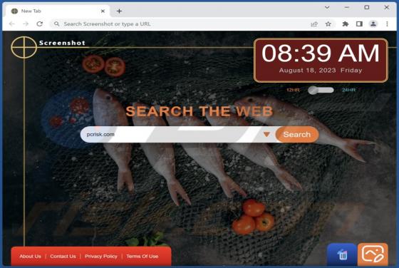 Screenshot Browser Hijacker
