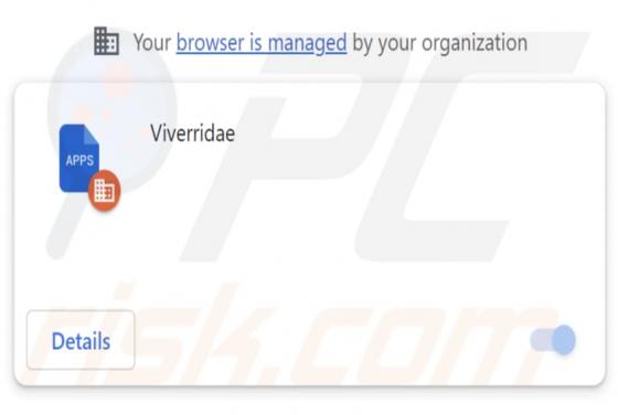 Viverridae Malicious Extension