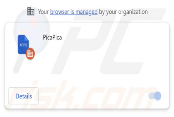 PicaPica Malicious Extension