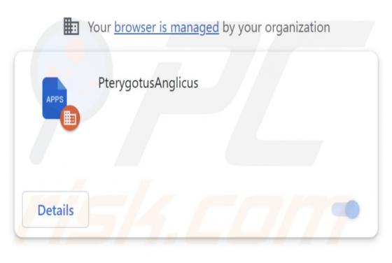 PterygotusAnglicus Malicious Extension