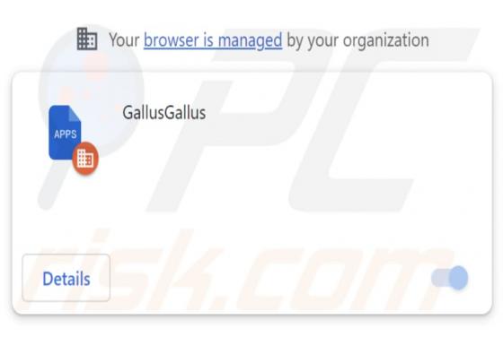 GallusGallus Malicious Extension