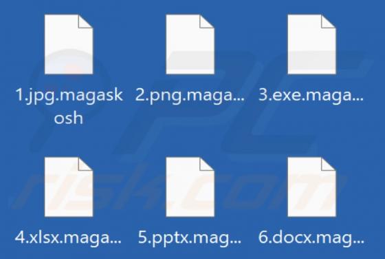 MAGASKOSH Ransomware