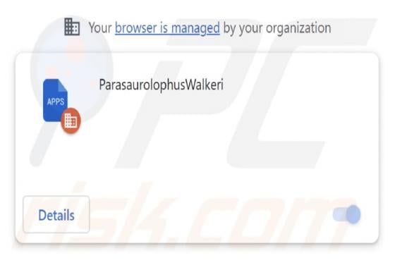 ParasaurolophusWalkeri Malicious Extension