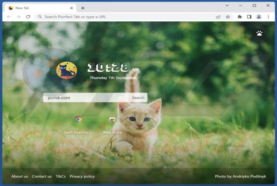 Purrfect Tab Browser Hijacker