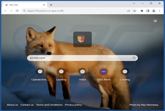 PhotosFox Browser Hijacker