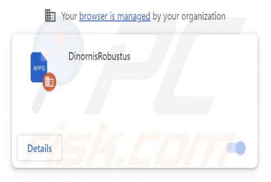DinornisRobustus Malicious Extension
