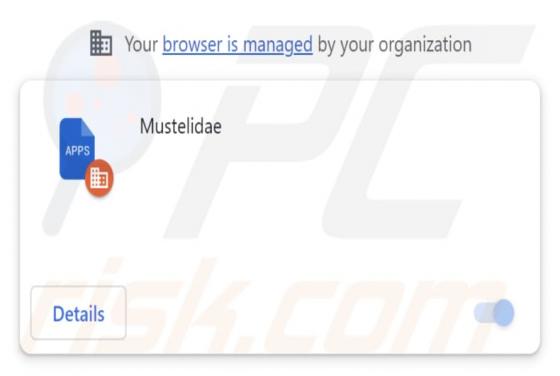Mustelidae Malicious Extension
