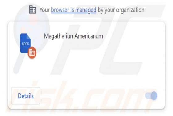 MegatheriumAmericanum Malicious Extension