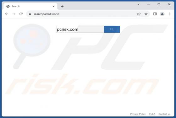 Searchparrot.world Redirect
