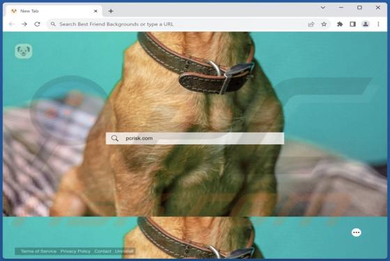 Best Friend Backgrounds Browser Hijacker