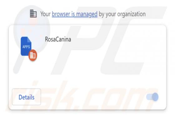 RosaCanina Malicious Extension