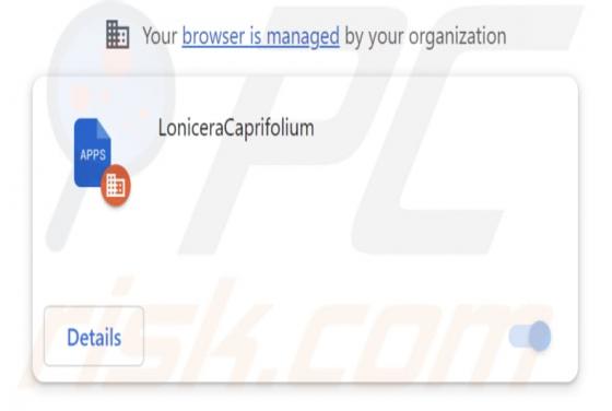 LoniceraCaprifolium Malicious Extension