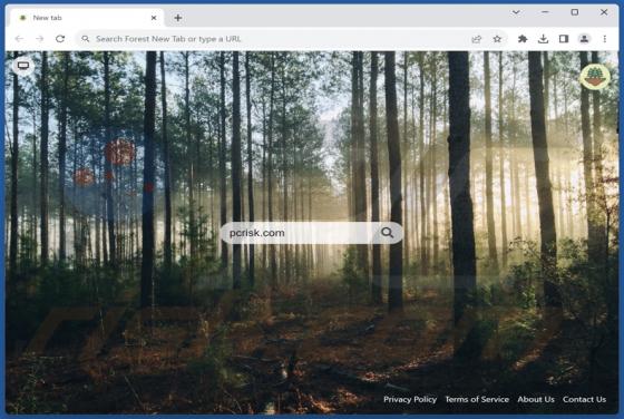 Forest New Tab Browser Hijacker