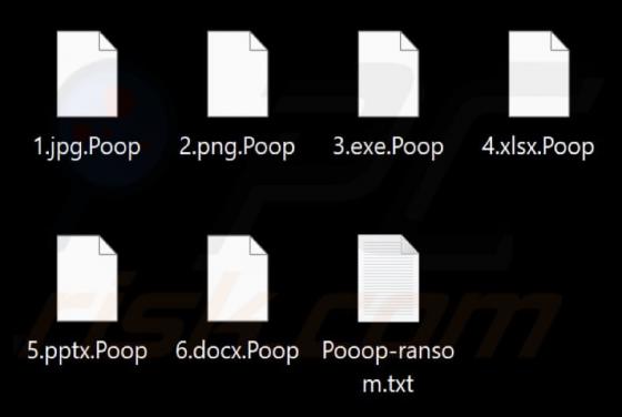 Poopy Butt-face Ransomware