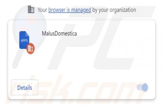 MalusDomestica Malicious Extension