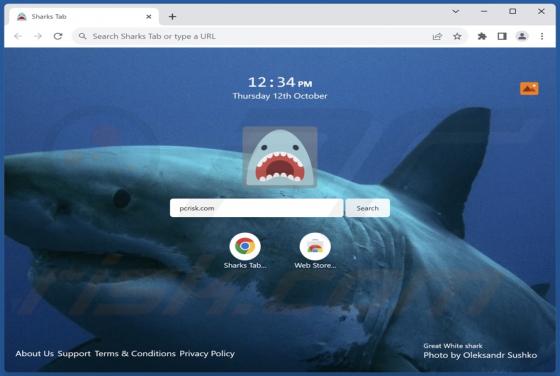 Sharks Tab Browser Hijacker