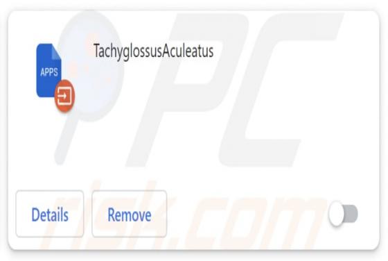 TachyglossusAculeatus Malicious Extension