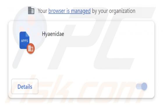 Hyaenidae Malicious Extension