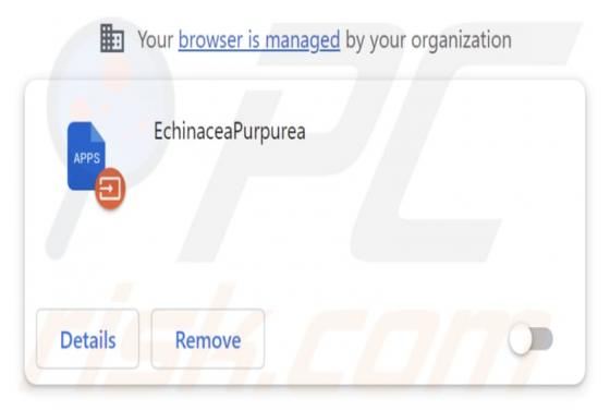 EchinaceaPurpurea Malicious Extension