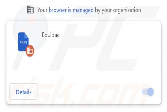 Equidae Malicious Extension