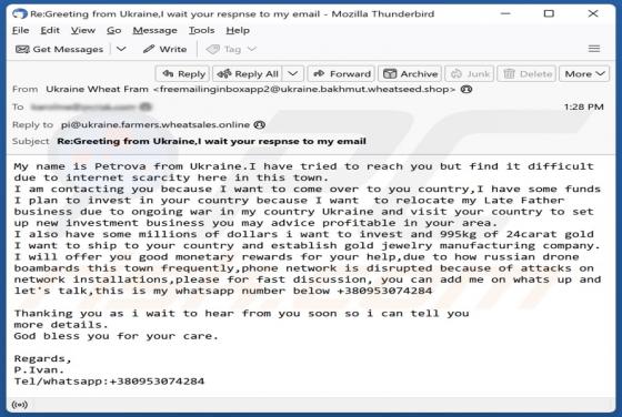 Investment In Your Country Email Scam