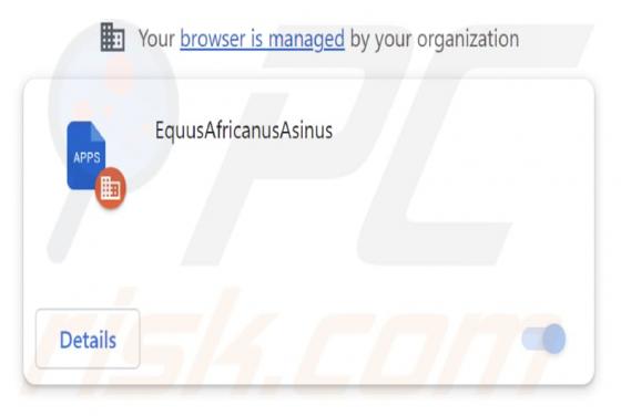 EquusAfricanusAsinus Malicious Extension