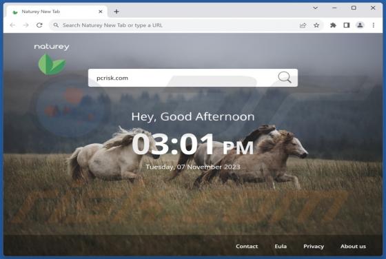 Naturey New Tab Browser Hijacker
