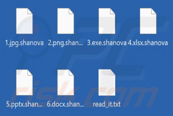 Shanova Ransomware