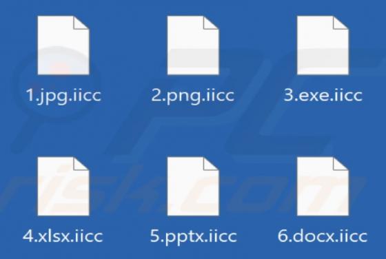 Iicc Ransomware