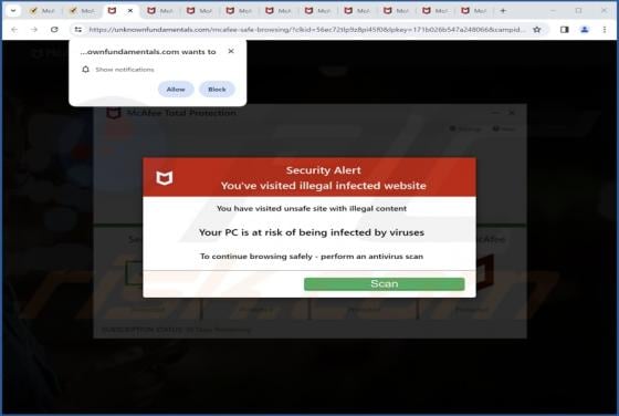 Unknownfundamentals.com Ads