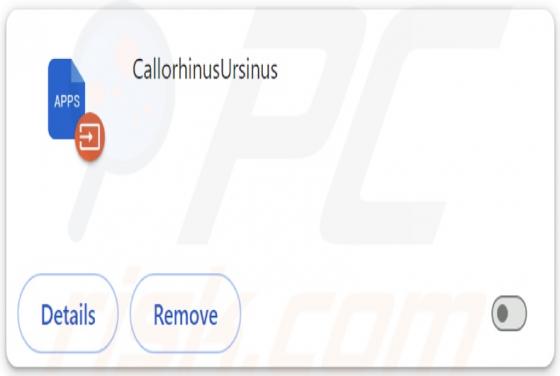 CallorhinusUrsinus Malicious Extension