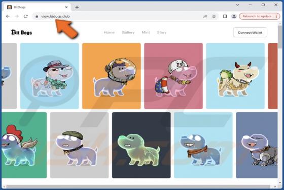 BitDogs Mint Free Scam