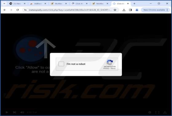 Inetaispially.com Ads